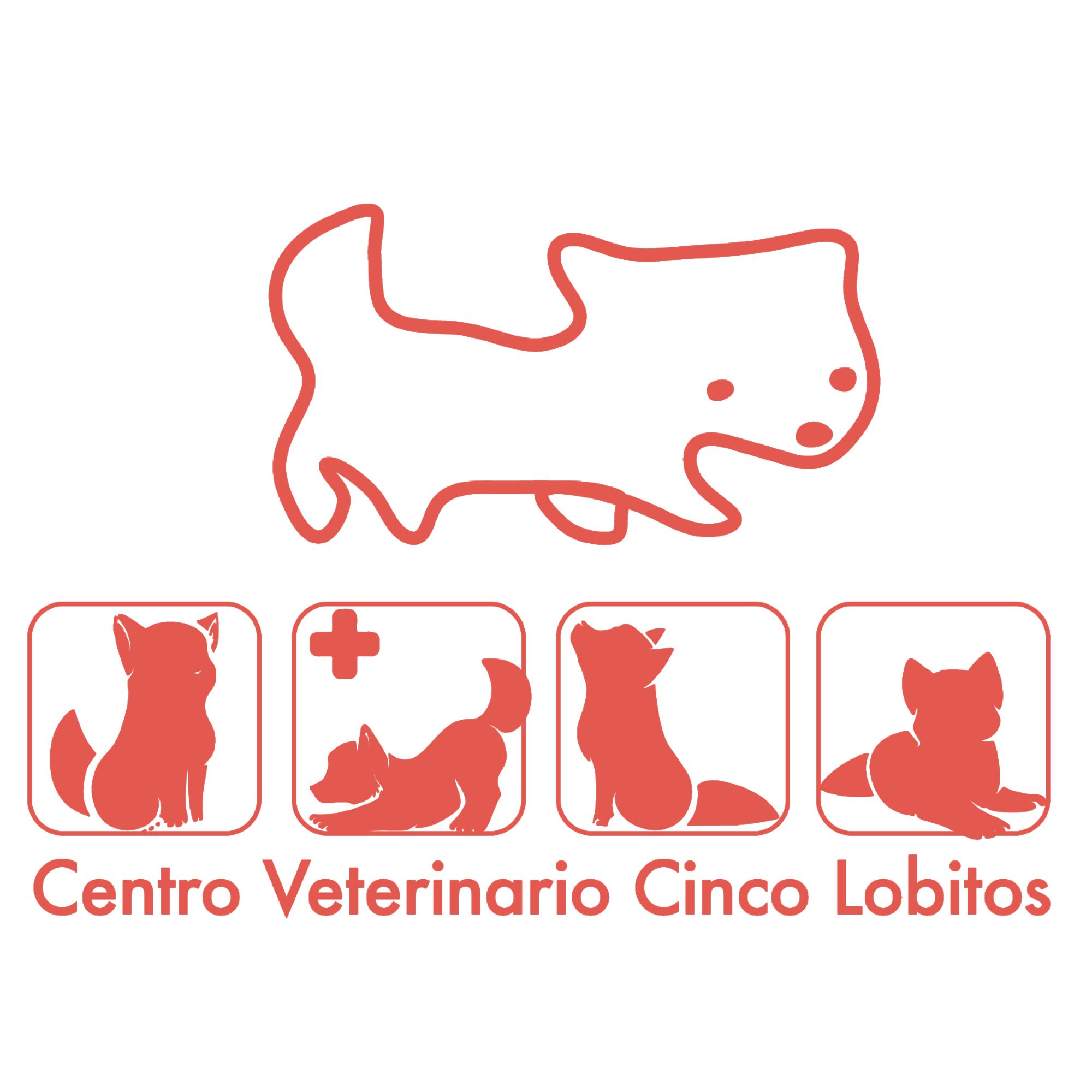 Clínica Veterinaria Cinco Lobitos